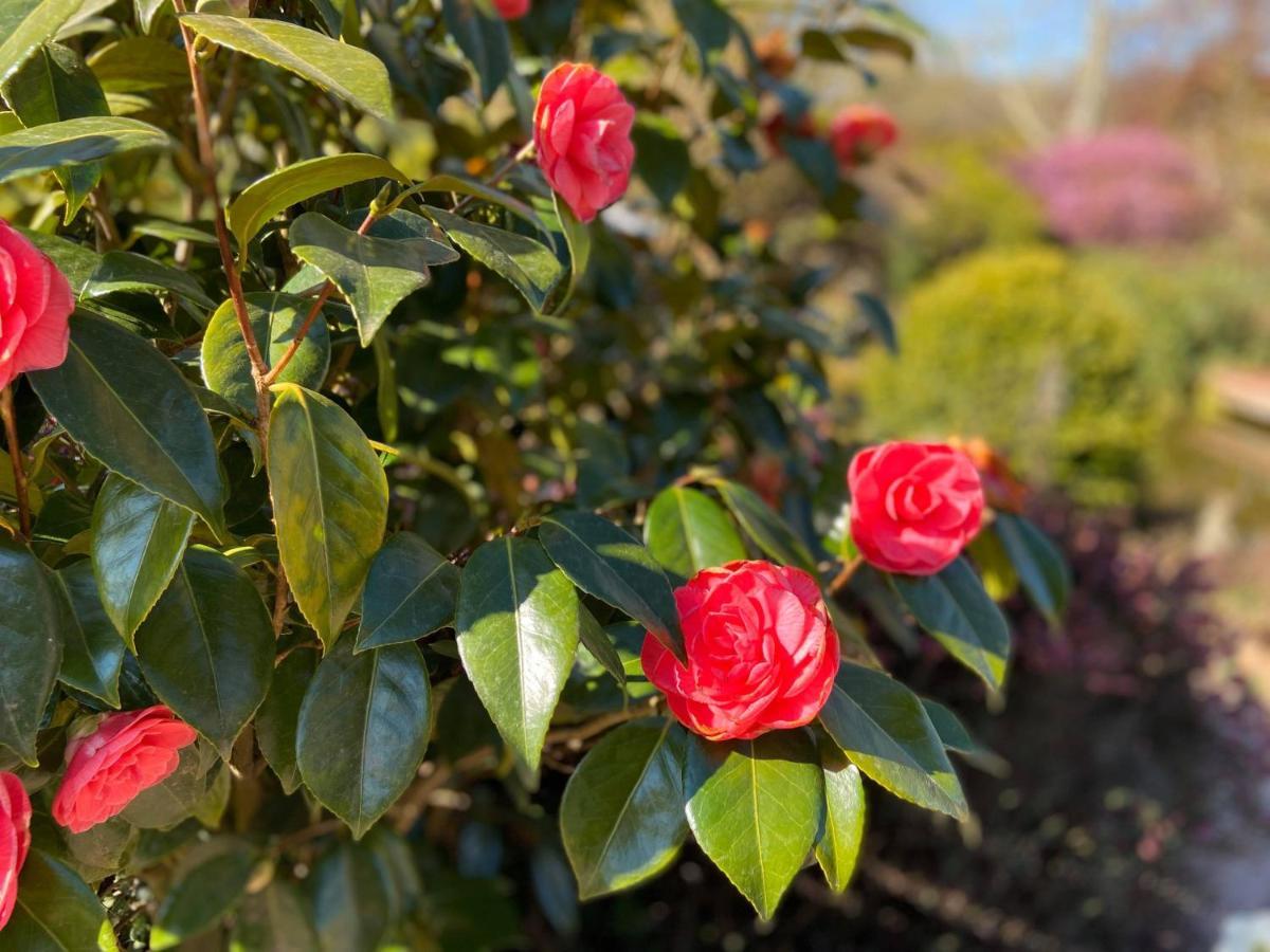 Gite "Cote Jardin" Vannecrocq Esterno foto