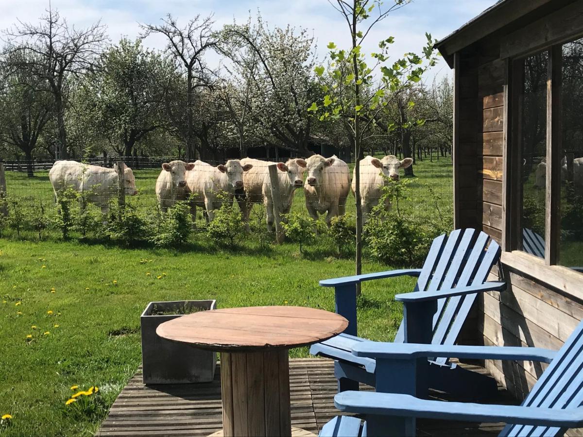 Gite "Cote Jardin" Vannecrocq Esterno foto