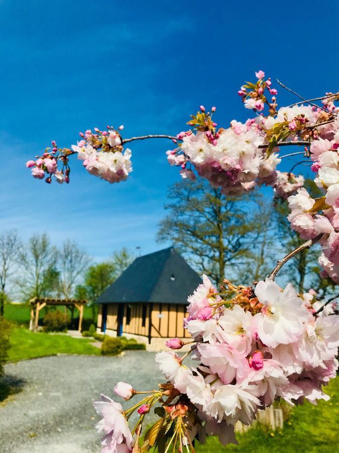 Gite "Cote Jardin" Vannecrocq Esterno foto