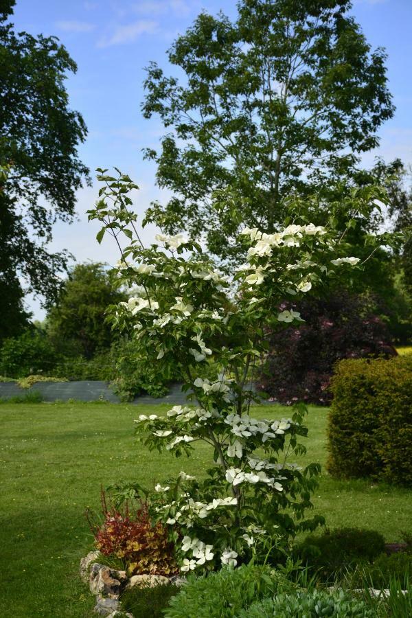 Gite "Cote Jardin" Vannecrocq Esterno foto